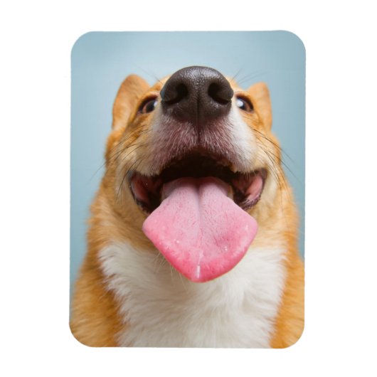 ゲッティイメージ | Very Happy Corgi マグネット (縦)
