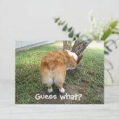 ゲットハウスコルギお尻おもしろい犬恋人 カード (スタンド正面)