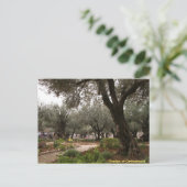 ゲツセマネの園 ポストカード (スタンド正面)