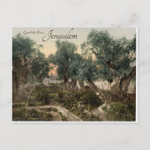 ゲツセマネエルサレムの庭園 ポストカード (正面)