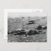 ゲティスバーグの戦い〜が1863年7月に死の宝庫 ポストカード (正面/裏面)