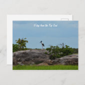 ゲデイ ポストカード (正面/裏面)