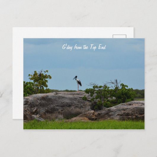 ゲデイ ポストカード (正面/裏面)