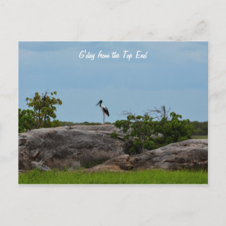 ゲデイ ポストカード