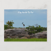 ゲデイ ポストカード (正面)