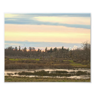 ゲメスアイランドバレー、ゲメスアイランド フォトプリント           