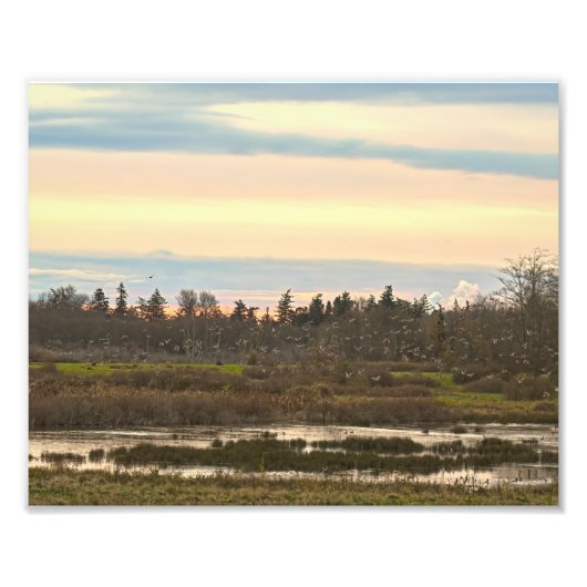 ゲメスアイランドバレー、ゲメスアイランド フォトプリント            (正面)