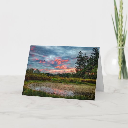 ゲメスポンドサンライズゲメスアイランドサンキューカード サンキューカード (正面)