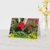 ゲラニウム カード (黄色い花)