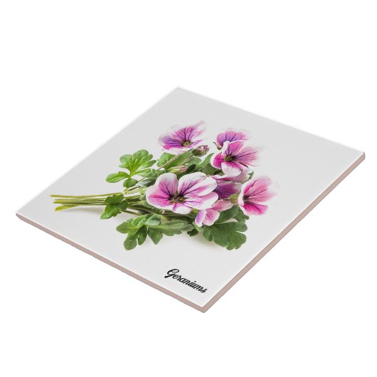 ゲラニウム タイル (側面)