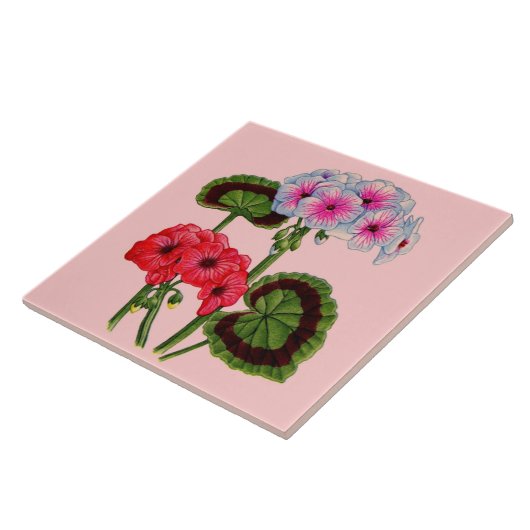 ゲラニウム タイル (側面)