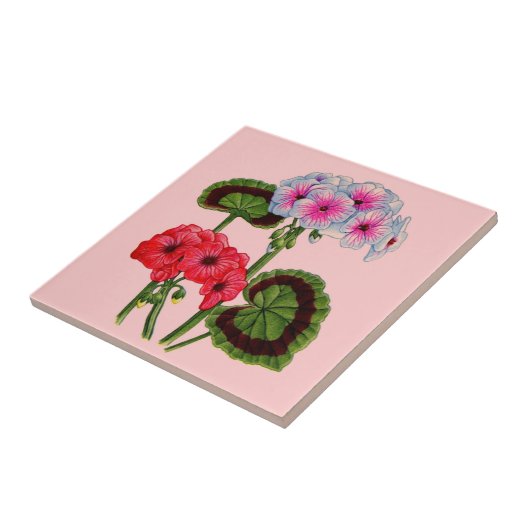 ゲラニウム タイル (側面)