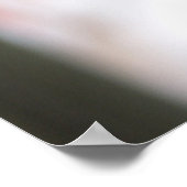 ゲラニウム ポスター (角)