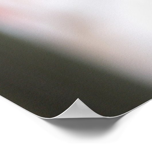 ゲラニウム ポスター (角)