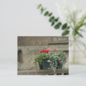 ゲラニウム ポストカード (スタンド正面)