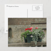 ゲラニウム ポストカード (正面/裏面)