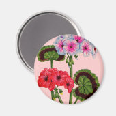 ゲラニウム マグネット (正面/裏面)