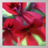 ゲラニ絵を描ム ポスター (正面)