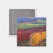 ゲリングの濃い赤と黄色の紅葉 マグネット (正面/裏面)