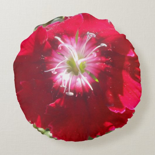 ゲルチェ ラウンドクッション (裏面)