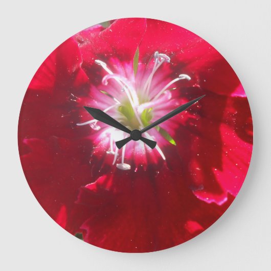 ゲルチェ ラージ壁時計 (正面)