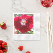 ゲルトジェ 縁ありカクテルナプキン (インサイチュ)