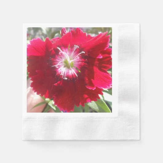 ゲルトジェ 縁ありカクテルナプキン (正面)