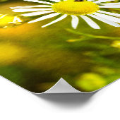 ゲルバートラウムダーナトゥール ポスター (角)