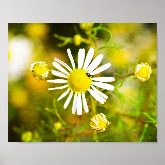 ゲルバートラウムダーナトゥール ポスター (正面)