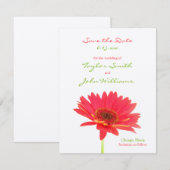 ゲルバ ダイジー セーブ・ザ・デート アナウンスメント (正面/裏面)