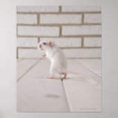 ゲルビル立ち ポスター (正面)