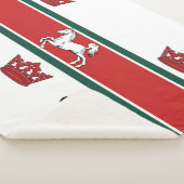 ゲルフ国旗（オンタリオ州，カナダ） シェルパブランケット (3/4)