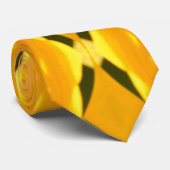 ゲルベスムスター ネクタイ (ロール)