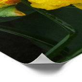 ゲルベトゥルペヴォムケウケンホフパーク ポスター (角)