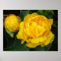 ゲルベトゥルペヴォムケウケンホフパーク