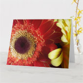 ゲルベラスの色 カード (黄色い花)