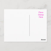 ゲルベラデイジーおめでとう葉書 ポストカード (裏面)