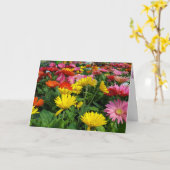 ゲルベラデイジーガーデン誕生日 カード (黄色い花)