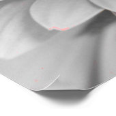 ゲルベラデイジーキャンバスポスター ポスター (角)