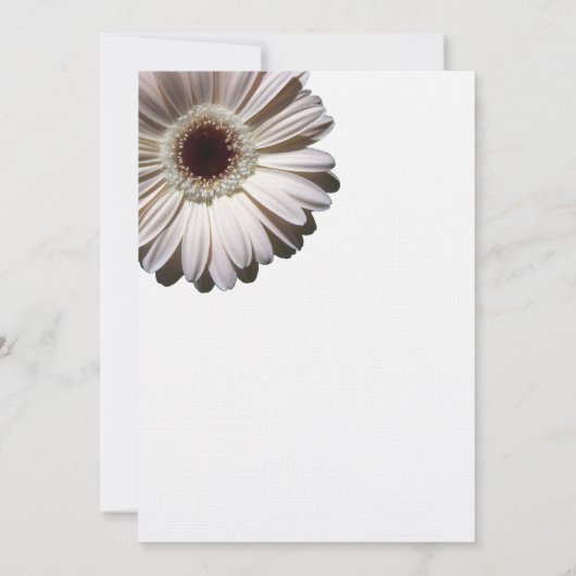 ゲルベラデイジーブライダルシャワー 招待状 (裏面)