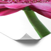 ゲルベラデイジーポスタープリント ポスター (角)