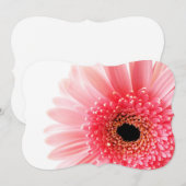 ゲルベラデイジーポスター (正面/裏面)