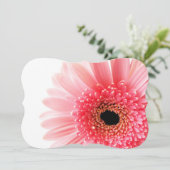 ゲルベラデイジーポスター (スタンド正面)