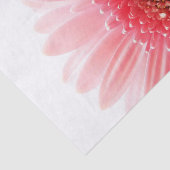 ゲルベラデイジーポスター 薄葉紙 (詳細)