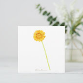 ゲルベラデイジー  カード (スタンド正面)