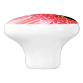 ゲルベラデイジー セラミックノブ (側面)