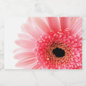 ゲルベラデイジー フードラベル (シングルラベル)