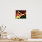 ゲルベラデイジー ポスター (キッチン)