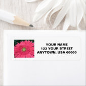 ゲルベラデイジー ラベル (インサイチュ)