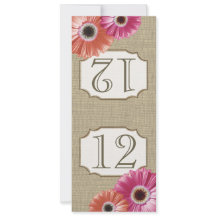 ゲルベラ ダイジー ピンクとコーラル テーブル ナンバー